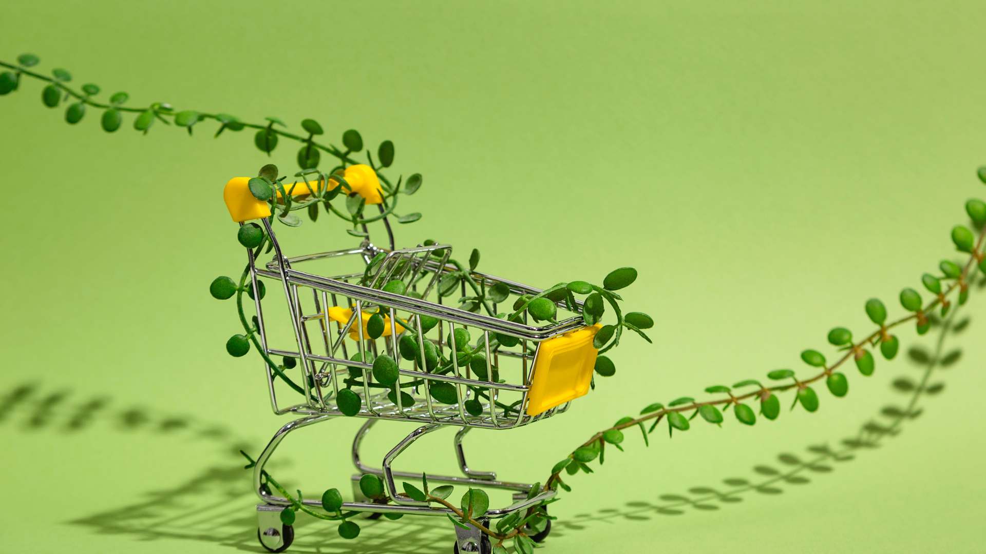 What Is Green Marketing? Strategies, Case Studies, Future Trends